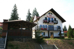 Отель Vila Romanita  Палтиниш